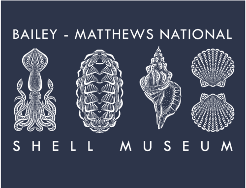National Shell Museum and On Island Partner to Launch Custom Apparel