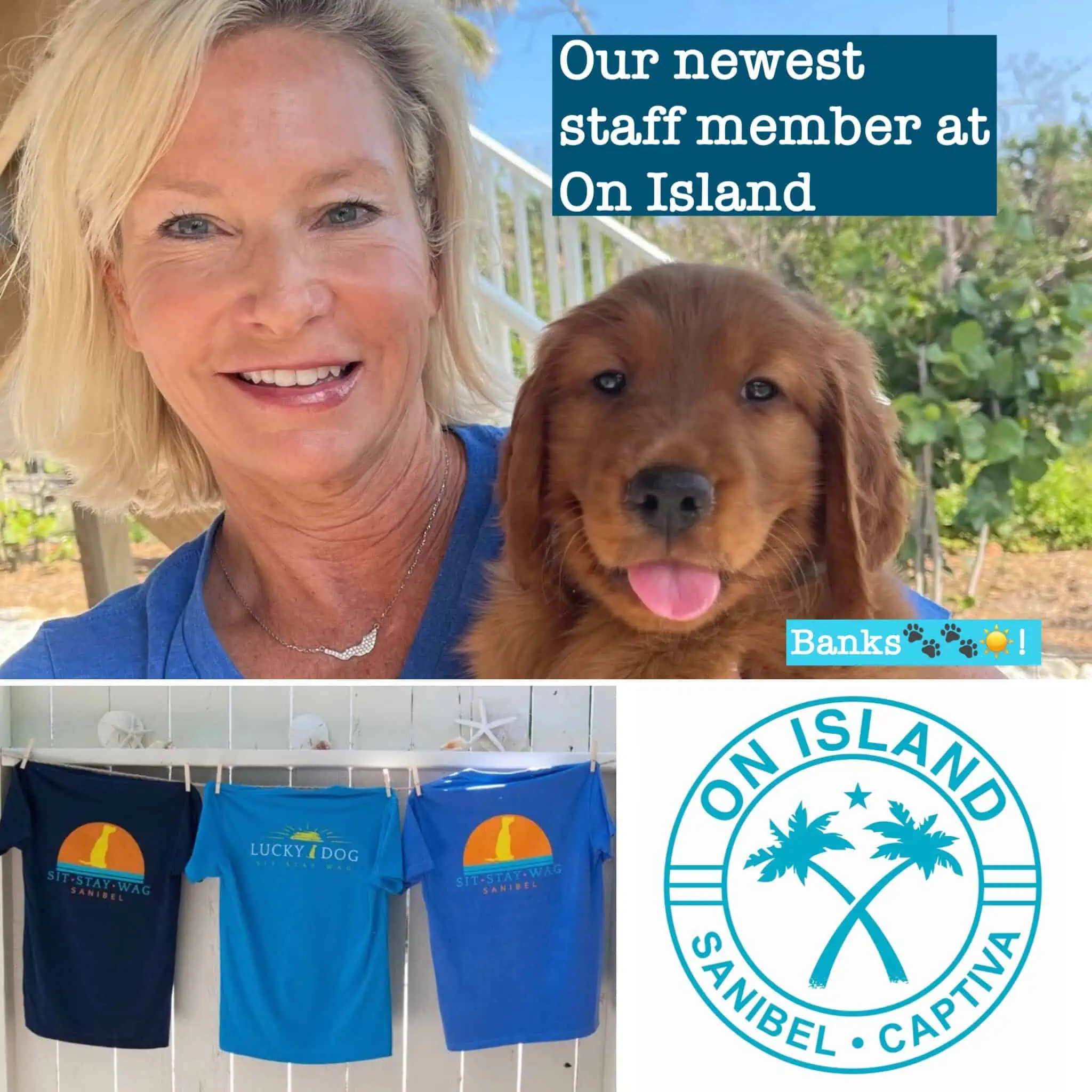 On island update SanibelCaptiva Chamber of Commerce Members