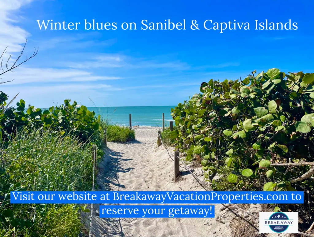 Escape the winter blues and discover the ultimate vacation experience