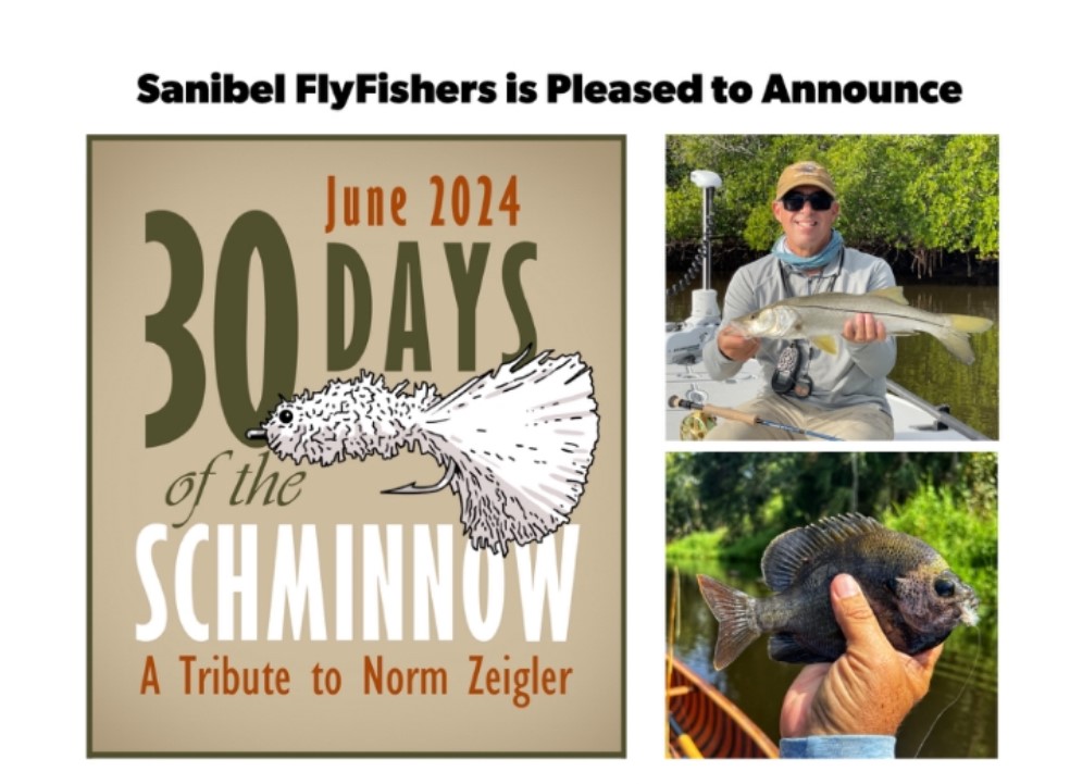 Sanibel Fly Fishers